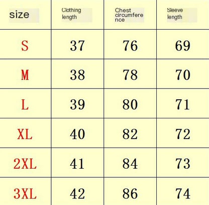 V-Neck Lantern Sleeves Chiffon Top